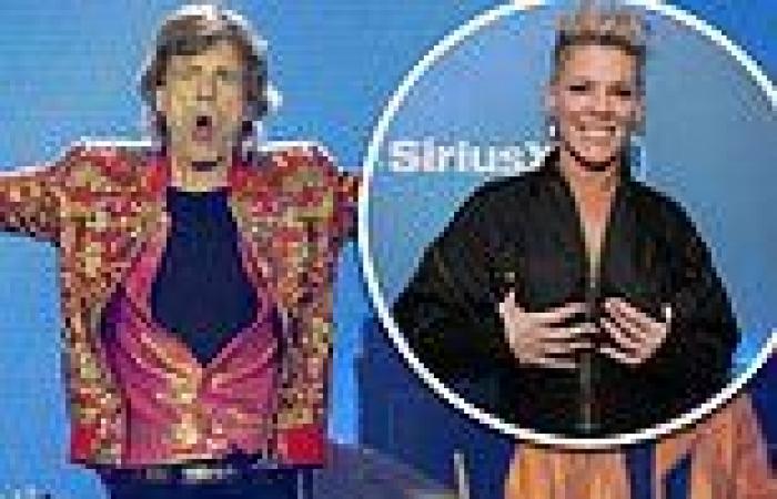 The Rolling Stones, Pink and U2 'asked to perform at concert in support of ... trends now