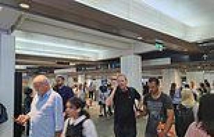 Sydney Trains warns of even more delays today: What you need to know trends now