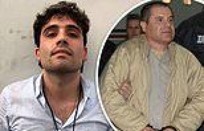 'I am not the person they think I am': El Chapo's son claims jailed kingpin is ... trends now