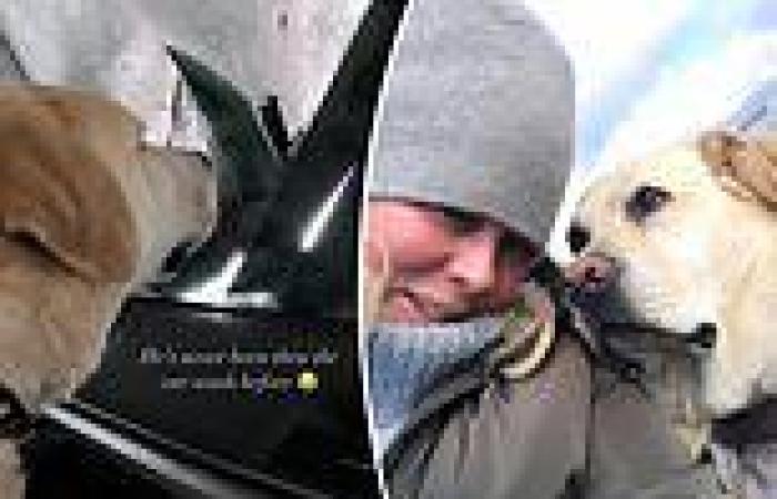 Sunrise: Samantha Armytage frightens her dog Banjo in the car wash trends now
