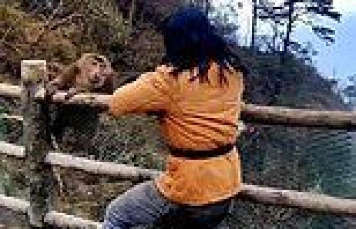 Chinese martial artist gets into a punch-up with some MONKEYS after trying to ... trends now