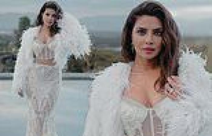 Priyanka Chopra shows off her 'South Asian Excellence' as she glams up ahead of ... trends now