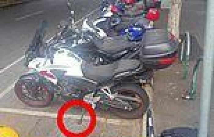 Brisbane motorcyclist fined for three centimetre mistake believes city council ... trends now