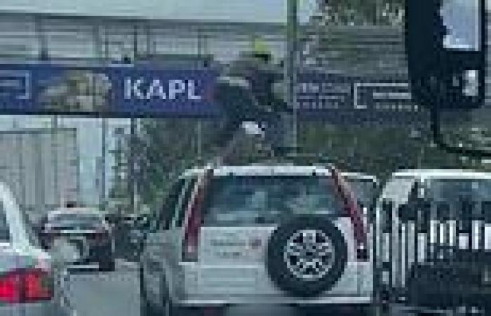 Car surfing man goes soaring down a busy road on top of a Honda SUV  trends now