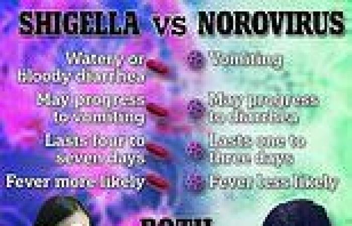 How to tell the difference between shigella and norovirus as stomach flus rise trends now