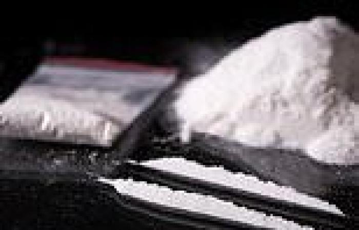 Global cocaine production reaches record levels as demand surges after Covid  trends now