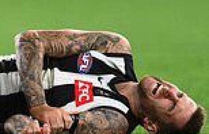 sport news AFL: Collingwood star Jeremy Howe is sent to hospital after sickening collision ... trends now