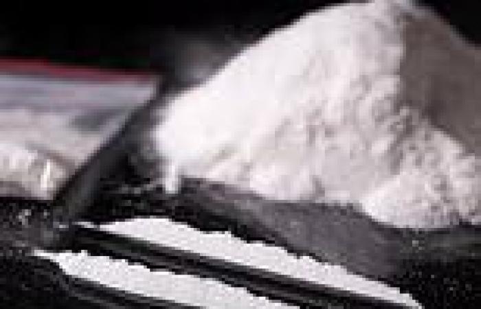 Albanian drug gangs bringing cocaine misery from Ecuador to the streets of ... trends now