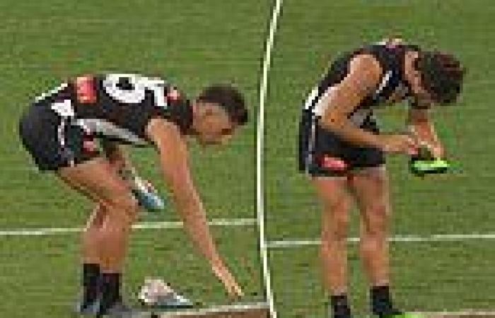 sport news Collingwood stars Josh & Nick Daicos scatter their grandfather's ashes on MCG ... trends now