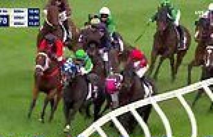 Florescent Star euthanised after horror fall at Mooney Valley trends now