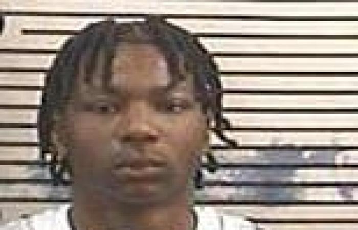 sport news Alabama freshman football star Tony Mitchell is arrested and charged with ... trends now