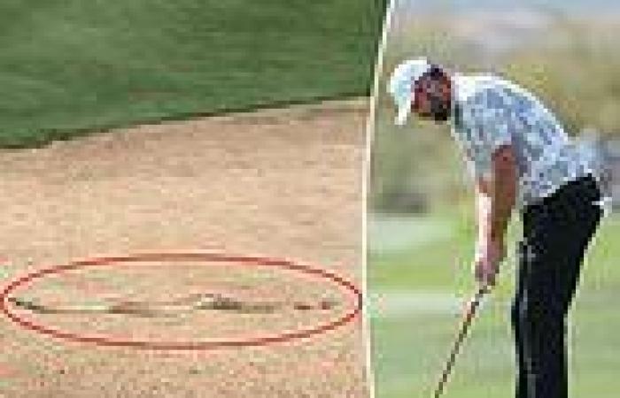sport news Marc Leishman has encounter with snake during stunning LIV Golf round to set up ... trends now