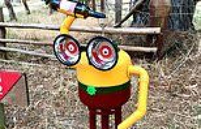 Minions mysterious pop up in Victorian town of Warrak trends now