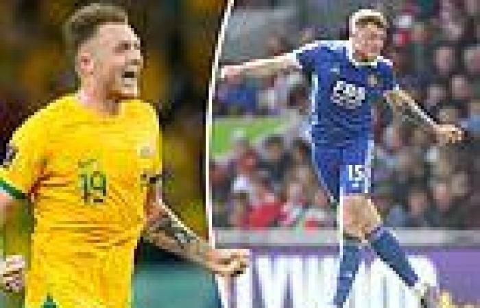 sport news Socceroo Harry Souttar in shock Leicester switch as two Premier League giants ... trends now