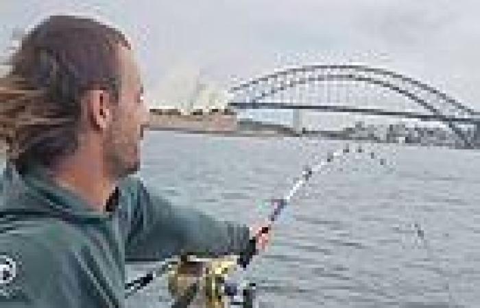 Bull shark reeled in in front of Sydney Harbour Opera House before angler ... trends now