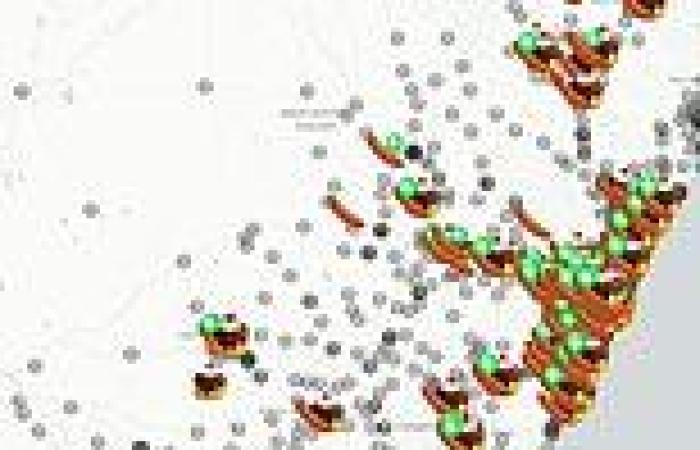 NSW election 2023: Interactive sausage map helps voters satisfy hunger while ... trends now