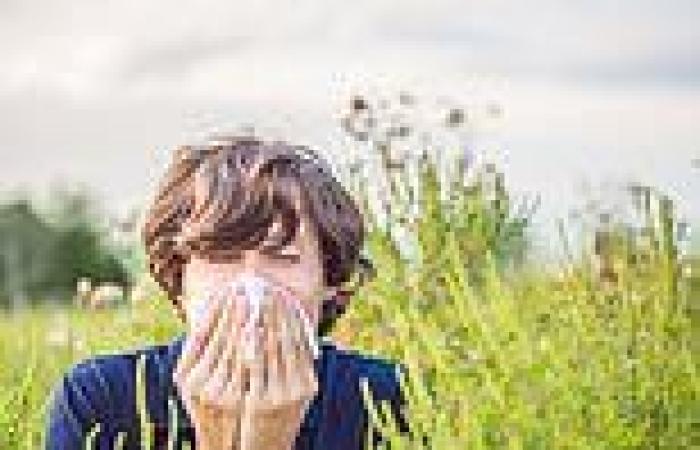 Got hay fever? Here's your ultimate 2023 survival guide  trends now