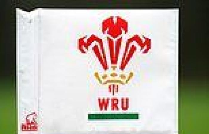 sport news Welsh Rugby Union members vote overwhelmingly in favour of reforms trends now