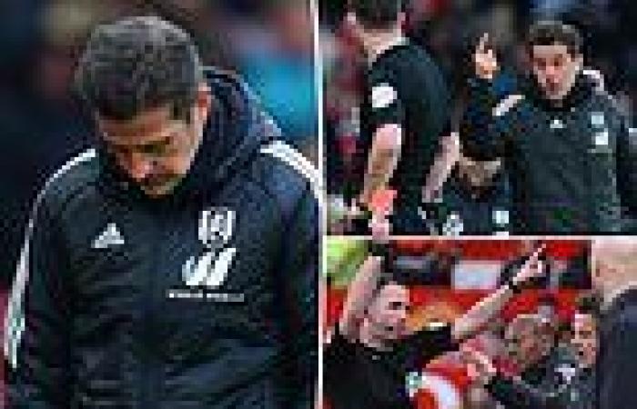 sport news Fulham boss Marco Silva is charged AGAIN following referee outburst after Man ... trends now