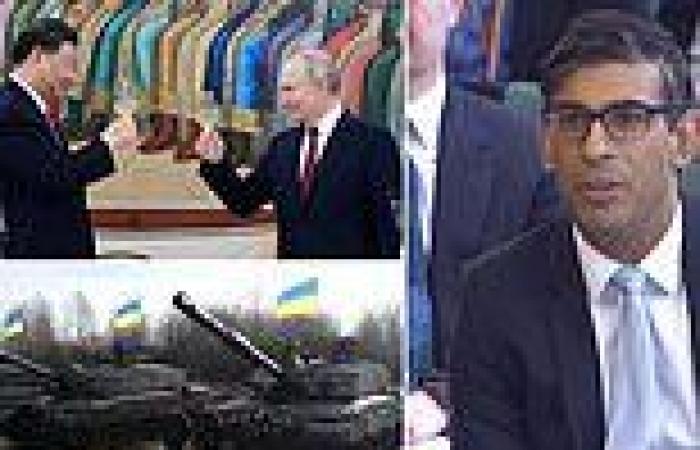 Rishi Sunak says UK weapons being well used in Ukraine trends now