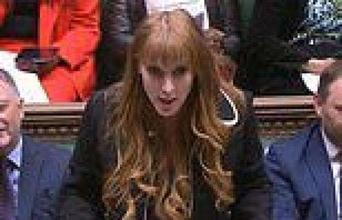 Dominic Raab throws 'scum' jibe at Angela Rayner after she brands bullying ... trends now