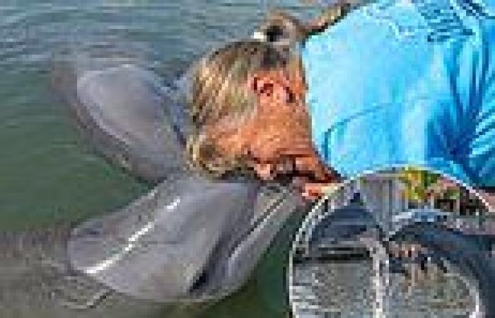 Orphaned DOLPHIN thrives at Florida sanctuary after he was found gravely ill ... trends now