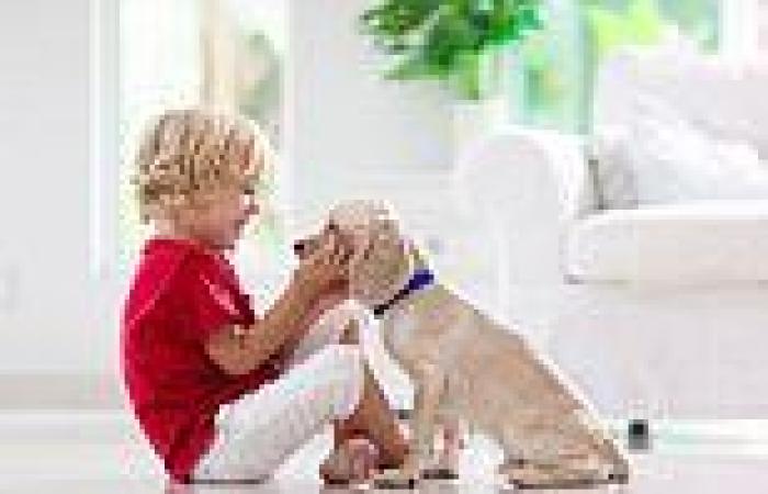 Puppy power! Having a pet dog slashes the risk of food allergies in children, ... trends now