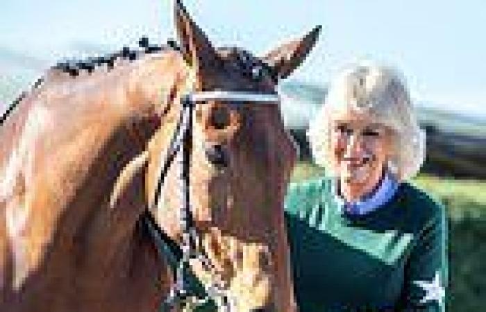 Queen Consort a mane-stay no more: Camilla says she no longer rides horses ... trends now