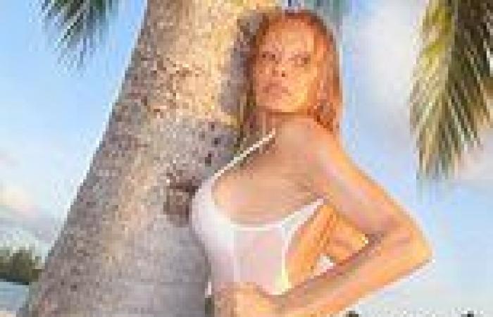 Pamela Anderson continues showing off her iconic bikini body in skimpy swimsuits trends now