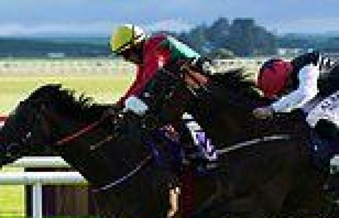 sport news Robin Goodfellow's racing tips: Best bets for Thursday, May 11th trends now
