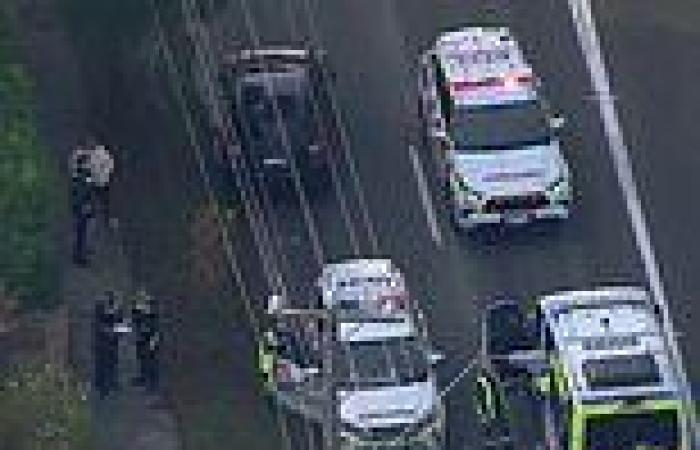 Child hit by a car in Mount Waverly, Melbourne on High Street Road trends now