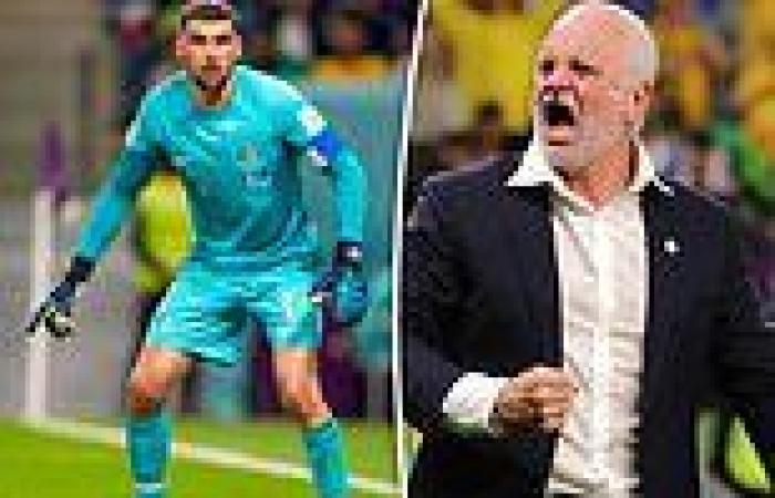sport news Socceroos Asian Cup draw revealed as coach Graham Arnold compares it to the ... trends now