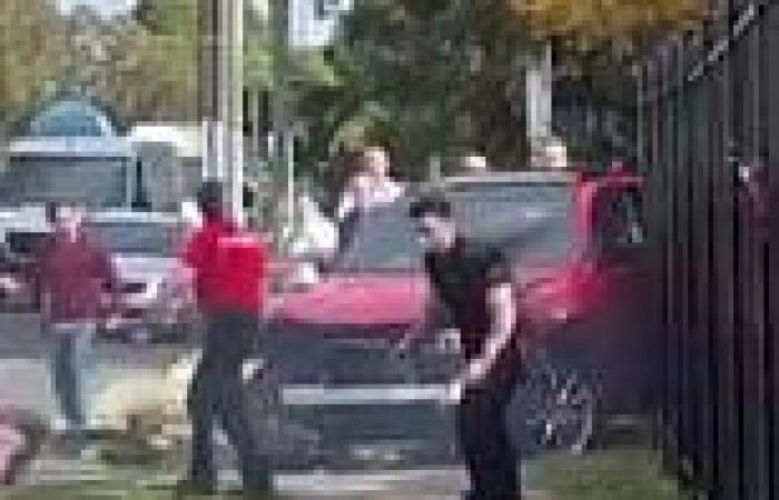Allegedly stolen Alfa Romeo crashes twice in Kingsgrove, Sydney, narrowing ... trends now