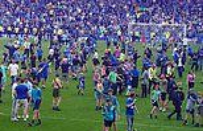 sport news Some Everton fans invade the Goodison Park pitch to celebrate Premier League ... trends now