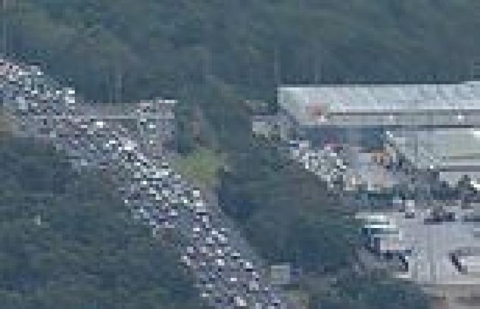 Sydney M4 crash: Four injured and major traffic delays trends now