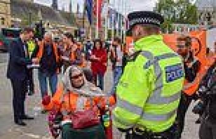 The friendly arm of the law: Police help Just Stop Oil protester in wheelchair ... trends now