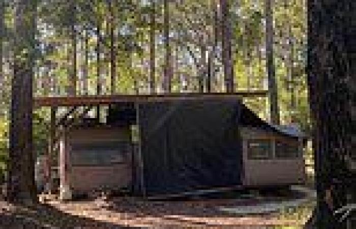 Mullumbimby caravan near Byron Bay shows Australia's rental crisis has hit a ... trends now