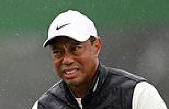 sport news Tiger Woods and Rory McIlroy were kept in the dark about the secret deal to end ... trends now