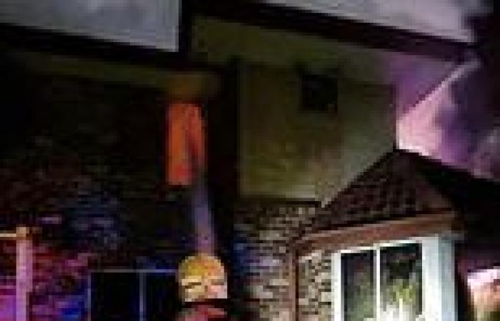Boy, 6, escapes fire in Sydney's west after being left home alone in two-storey ... trends now