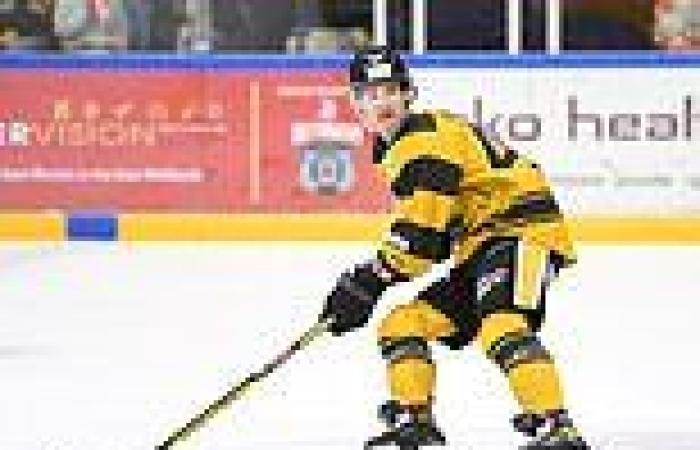 sport news Adam Johnson: Nottingham Panthers to hold public tribute in memory of ice ... trends now