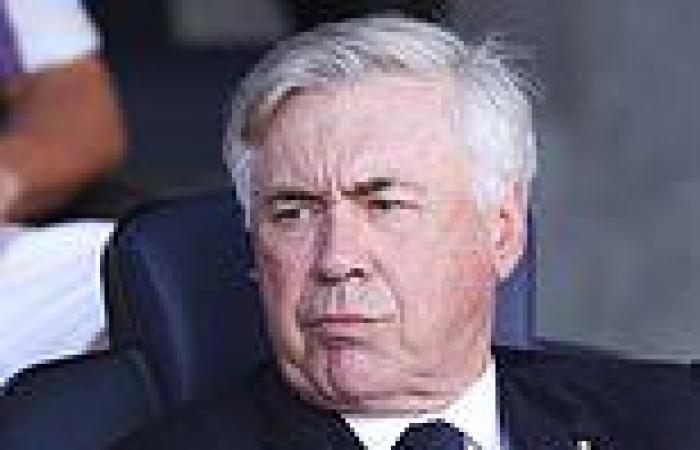 sport news Carlo Ancelotti 'has until New Year's Eve to give his approval to Brazil' to ... trends now