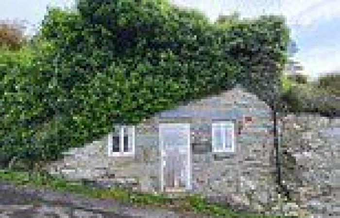 Tiny 'Shepherd's Hut-style' Grade II listed cottage can be yours for just ... trends now
