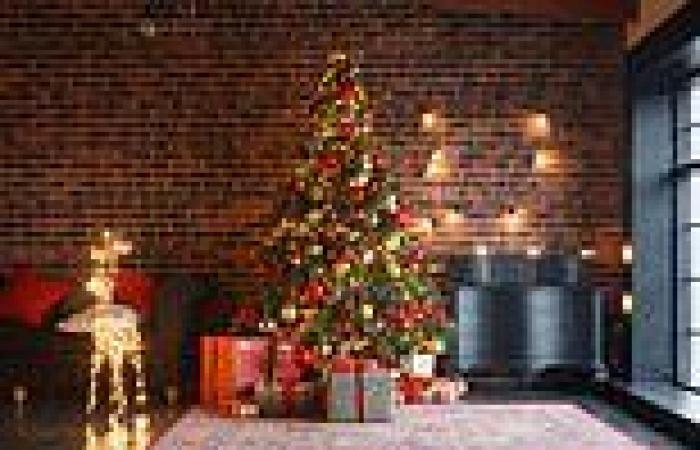 Festive families to see double this Christmas as new trend for two trees per ... trends now