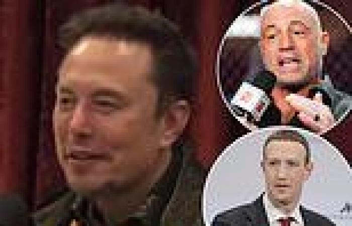 sport news Elon Musk says he'll fight Mark Zuckerberg 'any place, anywhere' on Joe Rogan's ... trends now