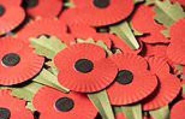 What do the different colours of poppies mean? Red, white, purple and black ... trends now