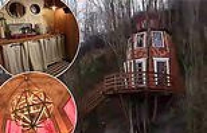 'Illegal' treehouse with no electricity, septic or bathrooms listed for ... trends now
