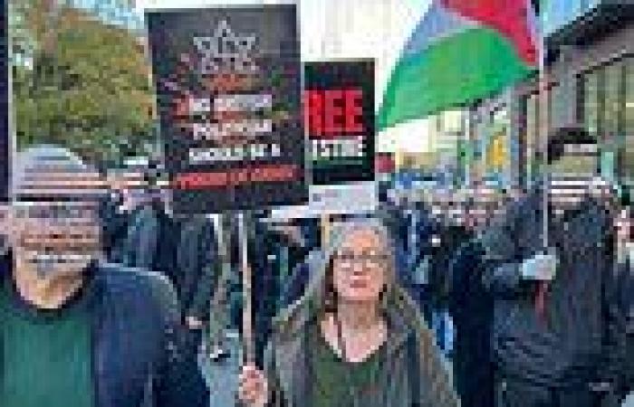 Armistice Day 2023: Met Police question ex-Labour activist at pro-Palestine ... trends now