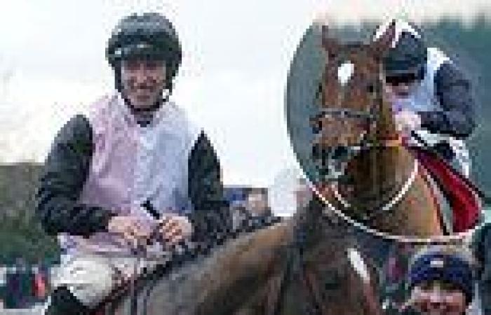 sport news HORSE POWER: Jumping Jack Kennedy is as quick as a flash and in one of those ... trends now