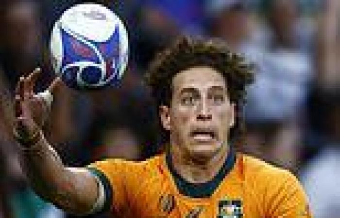 sport news NRL lands HUGE blow on Rugby Australia as Sydney Roosters sign Wallabies ... trends now