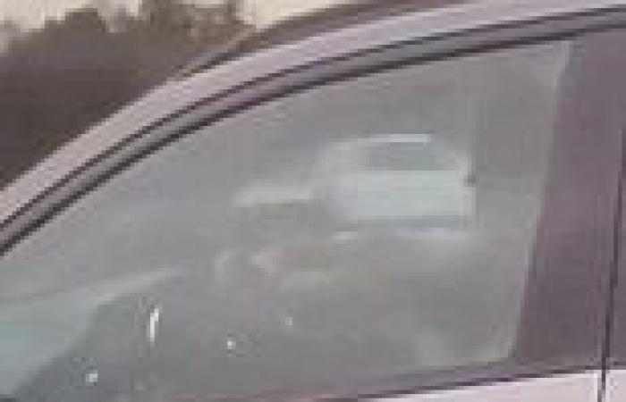 Is it him? Driver claims his video shows ex-Victorian premier Dan Andrews ... trends now